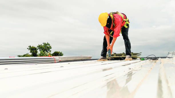 Best Chimney Flashing Repair  in Roland, AR