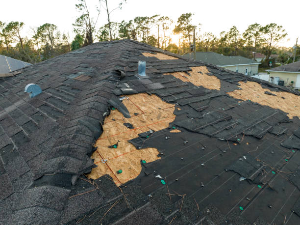 Best 4 Ply Roofing  in Roland, AR